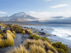 shutterstock_2583417583-min-scaled (2)