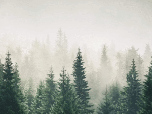 shutterstock_2583417583-min-scaled (3)